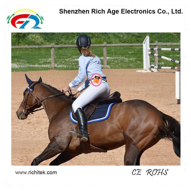 Rideundervisning med trådløs lydoverføringssystem(图1)